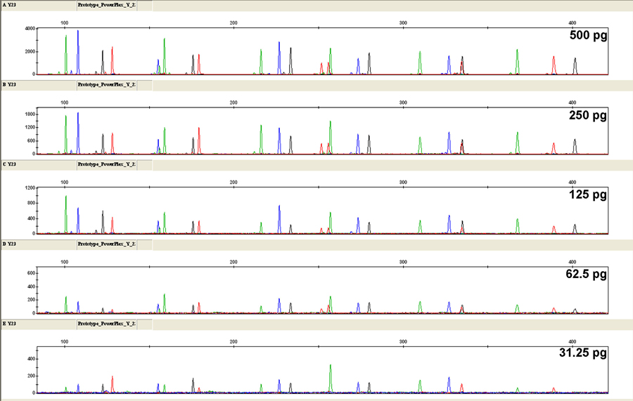Y23-310-Fig-1_web
